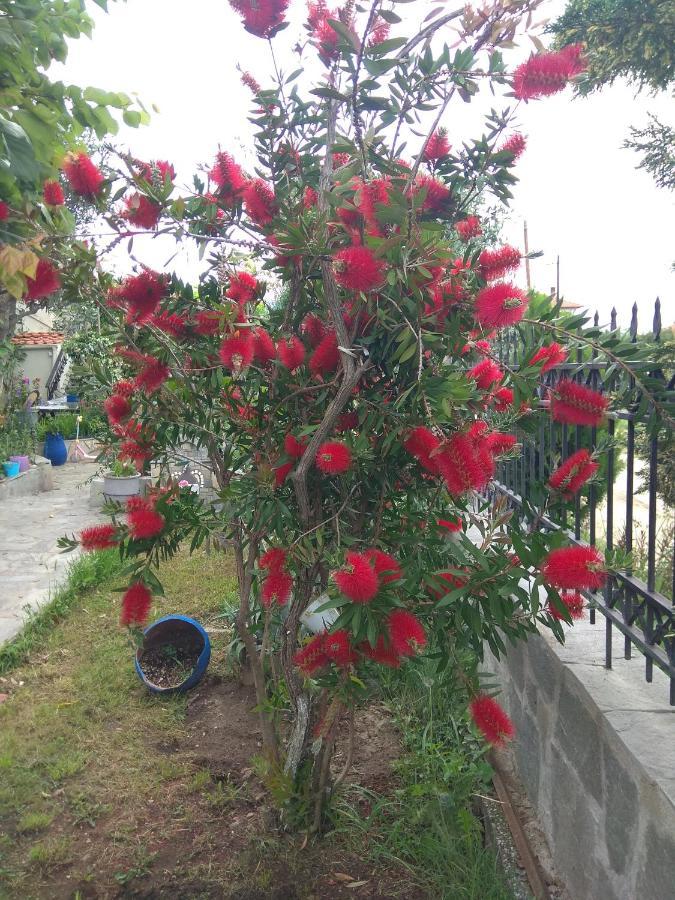 أسبروبالتا Sofia'S Cottage المظهر الخارجي الصورة