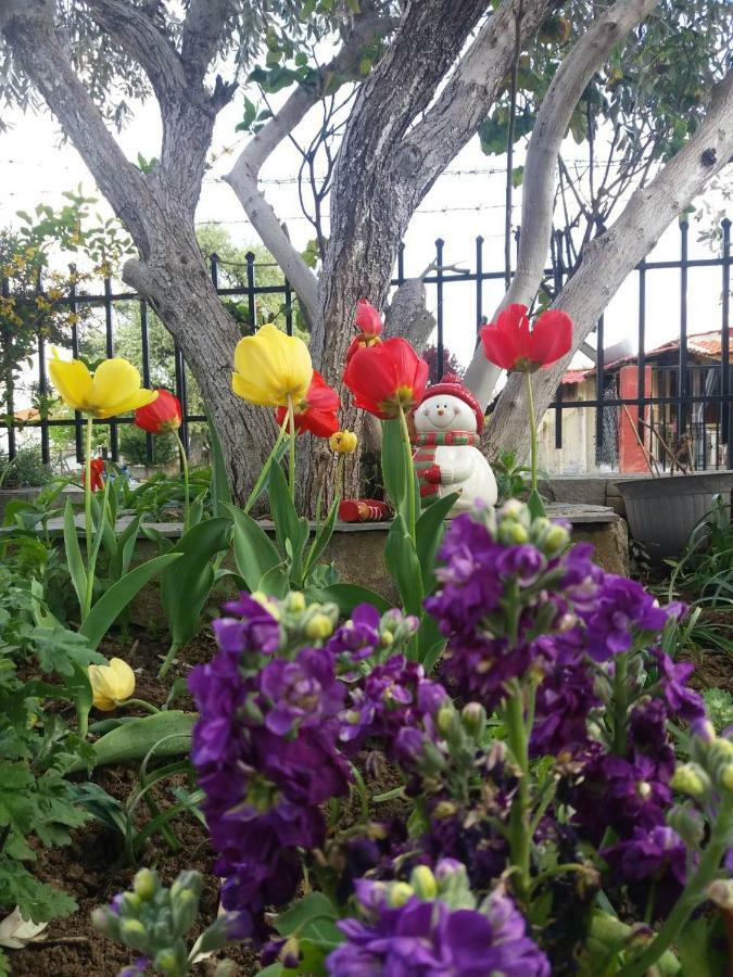 أسبروبالتا Sofia'S Cottage المظهر الخارجي الصورة